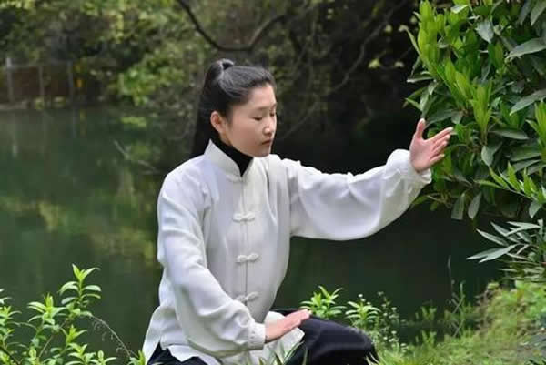 内功 易筋经